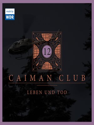 cover image of 12